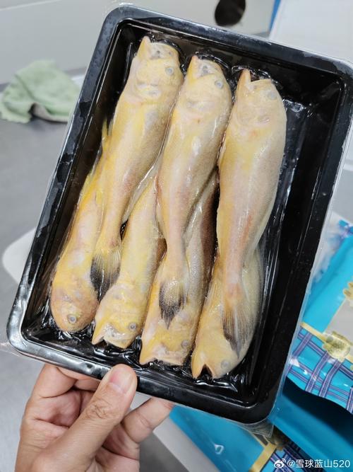 深入源头 探访海鲜供应商工厂，见证鲜活海产品的品质之旅