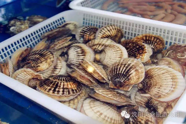 那一首西海情歌，与鲜活海产品的深情共鸣