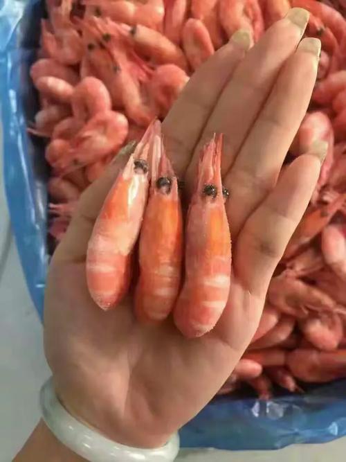 品味渤海湾的鲜甜 长年经营海珍，现推出低中高海鲜大礼包