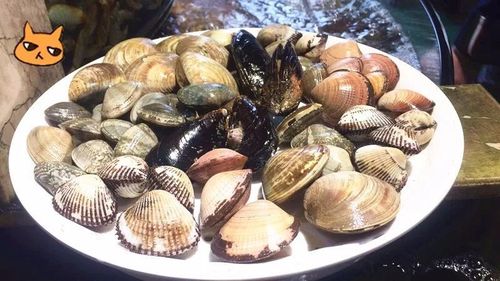 南浔海鲜工厂 70余种鲜活海产自选，天天平价尝尽海洋滋味