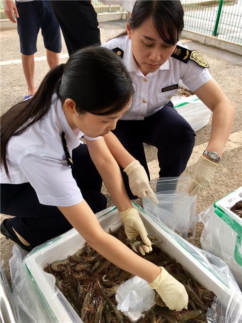 广西首个进境食用水生动物指定口岸正式启用 打通鲜活海产品进口“绿色通道
