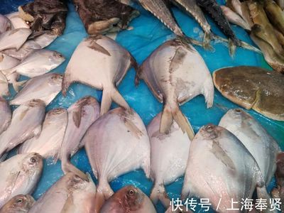 开渔后首批海鲜上岸，梭子蟹价格让人笑开花