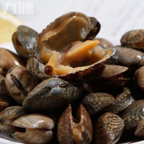 连云港贝类水产批发 鲜活花甲与无沙花蛤的品质之旅